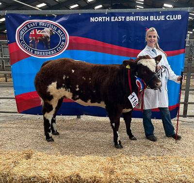 Class 9 - Driver - Senior young handler and champion